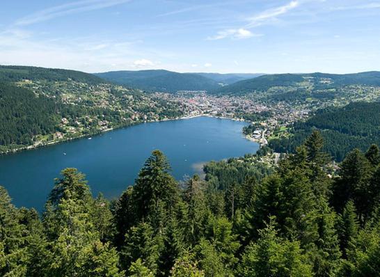 Beau Duplex A Proximite Du Lac De Gerardmer Avec Place De Parking Buitenkant foto